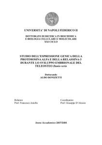 UNIVERSITA` DI NAPOLI FEDERICO II STUDIO DELL