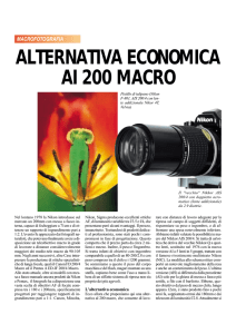 alternativa economica ai 200 macro