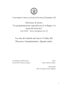 La sorte del contratto nel nuovo Codice del Processo Amministrativo