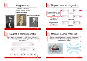 Magnetismo - Roberto Ricciardi