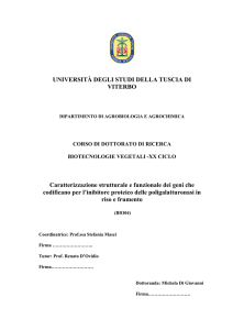 UNIVERSITÀ DEGLI STUDI DELLA TUSCIA DI