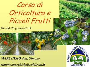 corso di orto-floro-frutticoltura 2014 - Cuneo