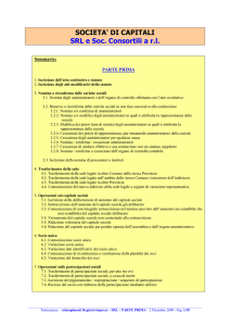 SOCIETA` DI CAPITALI SRL e Soc. Consortili a rl