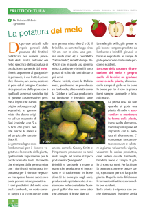 La potatura del melo - Vivaio del Lago Varese