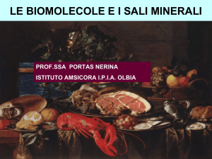 le biomolecole ei sali minerali - I.I.S. "Amsicora"