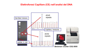 Elettroforesi Capillare (CE) nell`analisi del DNA