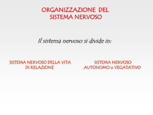 sistema nervoso centrale - Progetto e