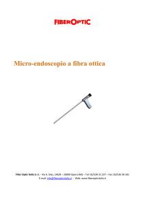 Micro-endoscopio a fibra ottica