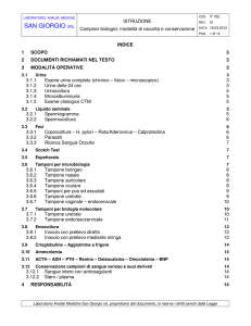 documento PDF stampabile - Laboratorio San Giorgio