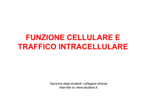 04. Funzione cellulare e traffico intracellulareINF2016