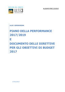 Piano della performance 2017-2019