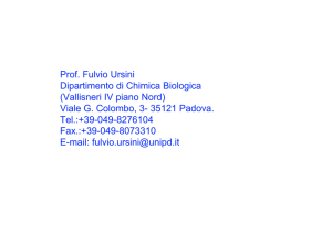 Prof. Fulvio Ursini Dipartimento di Chimica Biologica