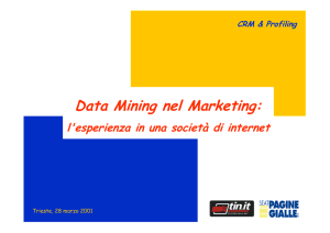 Data Mining nel Marketing: l`esperienza in una società di internet