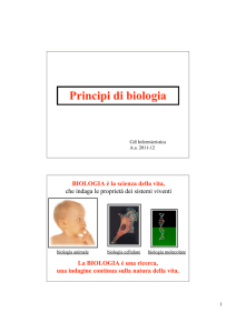 Principi di biologia - Apollo 11 *DNA* Apollo