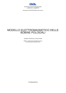 MODELLO ELETTROMAGNETICO DELLE BOBINE POLOIDALI