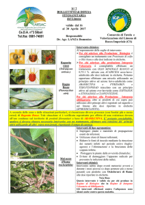 ARSAC_bollettino di difesa fitosanitaria del limone n. 7