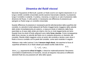 Lezione 6 Dinamica dei fluidi viscosi