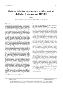 Articolo in formato PDF