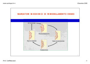 Rimodellamento osseo