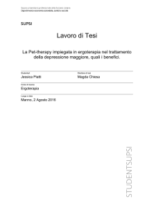 Lavoro di Tesi - in SUPSI Tesi