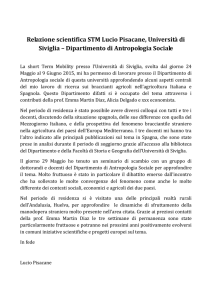 Relazione scientifica STM Lucio Pisacane, Università di Siviglia
