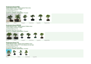 Varietà bonsai_aggiornamento listino_24112011