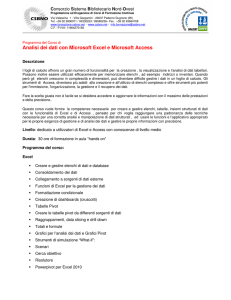 Analisi dei dati con Microsoft Excel e Microsoft Access