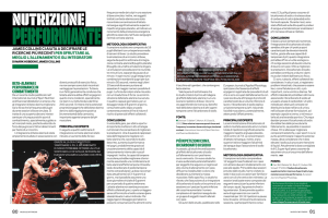 nutrizione - James Collins | Performance Nutrition