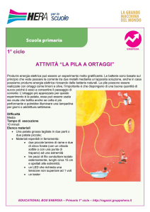 Le schede delle attività educative da realizzare