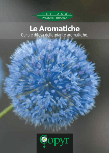 Le Aromatiche - Copyr Giardinaggio