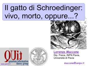 Il gatto di Schroedinger: vivo, morto, oppure...?