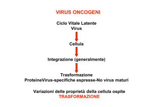 Lez 14 (Virus oncogeni) - e