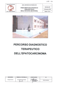 percorso diagnostico-terapeutico dell`epatocarcinoma (2014