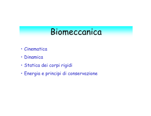 Biomeccanica File - e