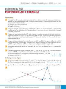 ESERCIZI IN PIÙ PERPENDICOLARI E PARALLELE