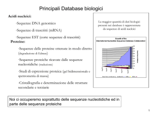 Diapositiva 1 - Corso di Biologia Molecolare 2