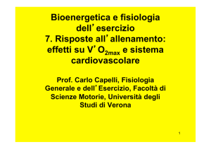 Bioenergetica e fisiologia dell`esercizio 7. Risposte