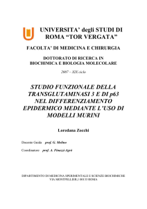 UNIVERSITA` degli STUDI DI ROMA “TOR VERGATA