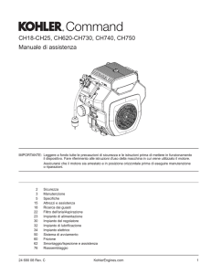 CH18-CH25, CH620-CH730, CH740, CH750 Manuale di assistenza