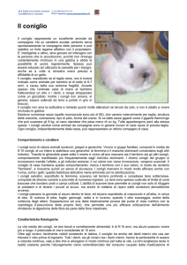 Il coniglio - clinica veterinaria Adler