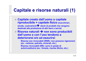 Capitale e risorse naturali (1)