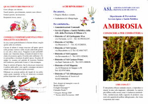 ambrosia tre - Comune di Morimondo