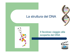 DNA e MITOSI