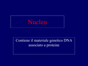 cromosoma - Materiale Scienze della Formazione Primaria