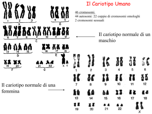 Presentazione di PowerPoint