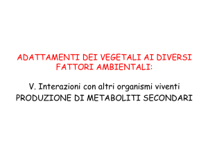 Lez12_Adattamento vegetali all`ambiente2014