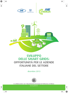 sviluppo delle smart grid