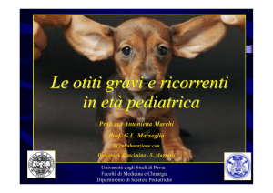 A.Marchi, G.L.Marseglia, A.Boncimino , S.Magrassi pdf