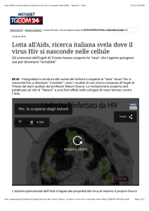 Lotta all`Aids, ricerca italiana svela dove il virus Hiv si