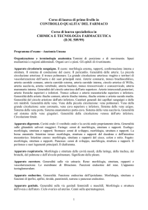 Formato PDF - Area Serra